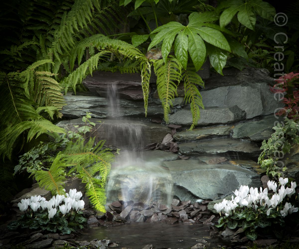 Small slate pondless waterfall with lush planting. No pond means almost no maintenance. Smaller features like this offer a good value solution for clients.  - Landscaping and Water Features -  Creative Cascades