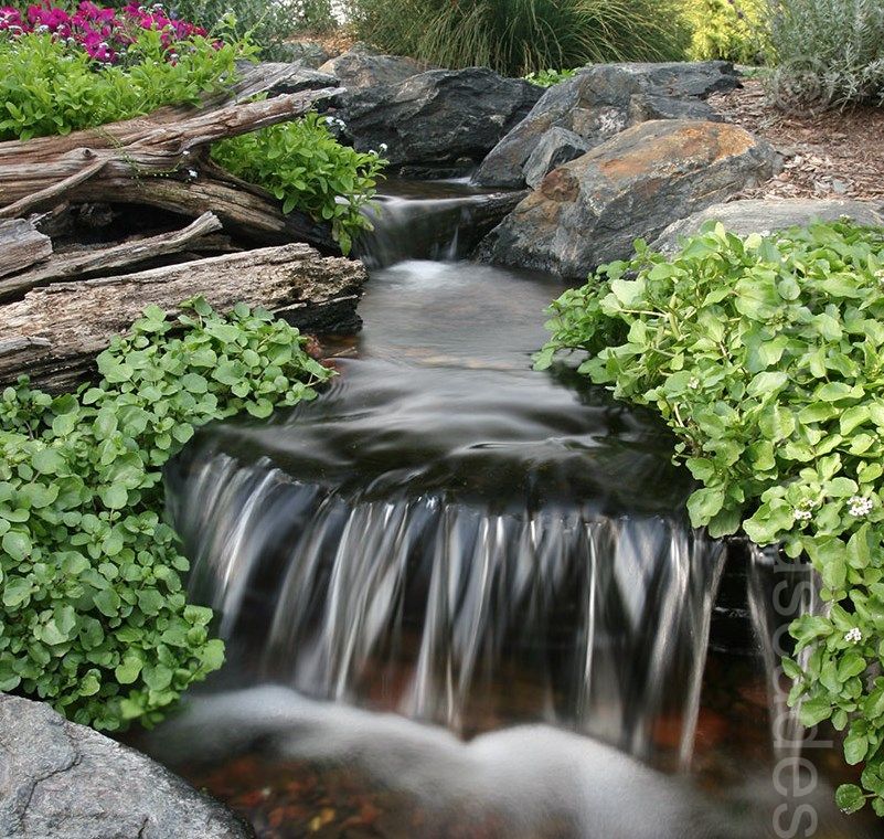Pondless waterfall with well behaved planting  - Landscaping and Water Features -  Creative Cascades