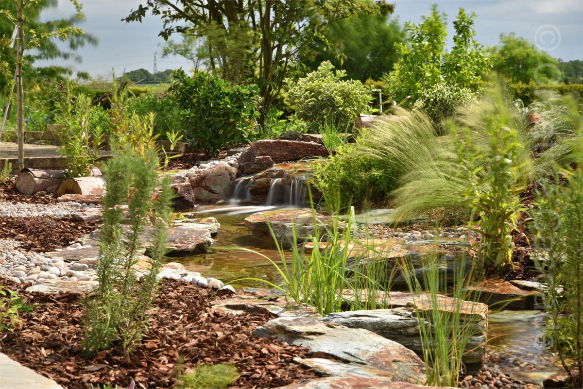 A stream, waterfall and landscaping to include aquatic & terrestrial planting, Berden village, Hertfordshire, planting by us  - Landscaping and Water Features -  Creative Cascades