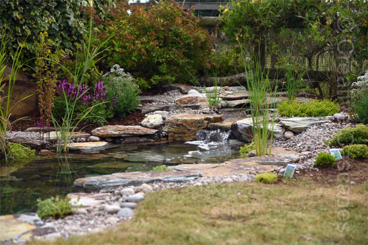 Ecosystem pond, this one in aged slate, planting beginning to soften things  - Landscaping and Water Features -  Creative Cascades