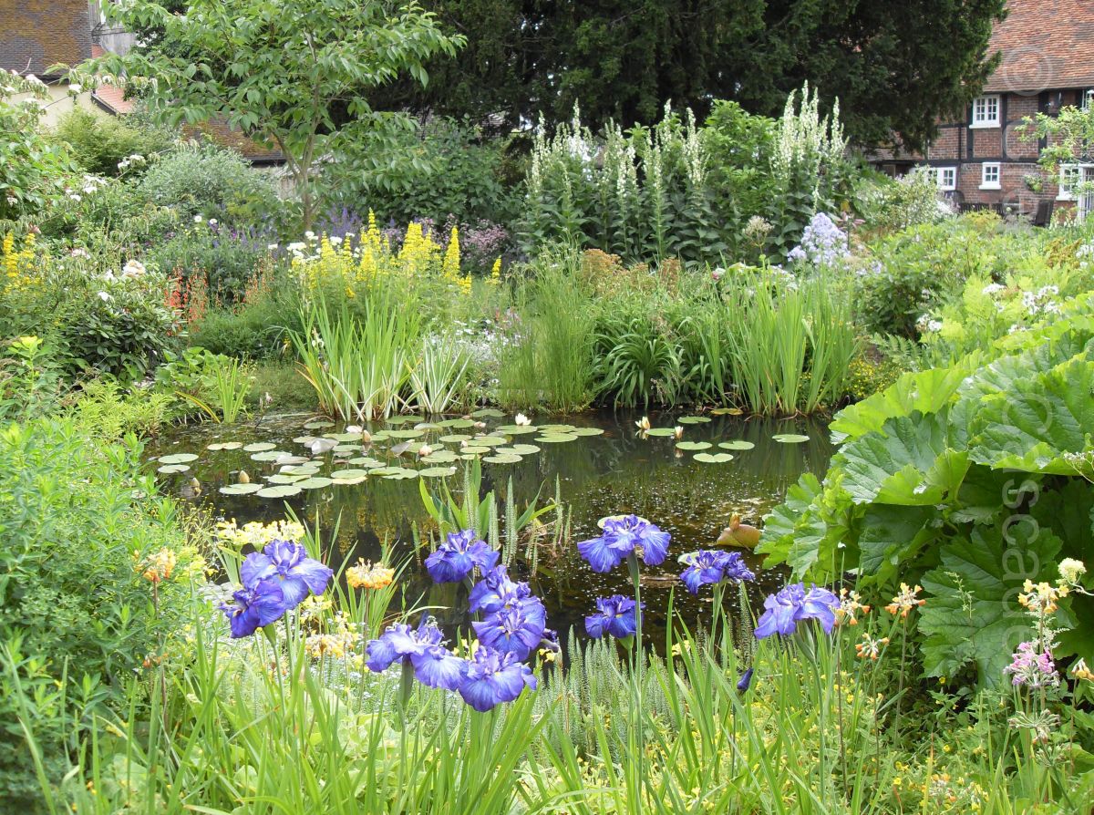 Traditional fully planted pond, this style of planting is more for the keen gardener. For a lower maintenance pond, we would suggest very different planting schemes.  - Landscaping and Water Features -  Creative Cascades