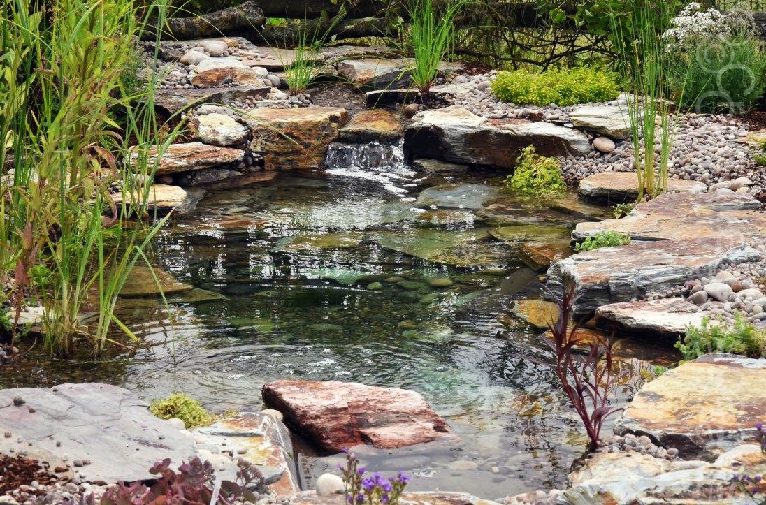 Wildlife, eco-system pond with small stream, Bishops Stortford, Herts. Plants will quickly establish and soften the 'rocky' appearance.  - Landscaping and Water Features -  Creative Cascades