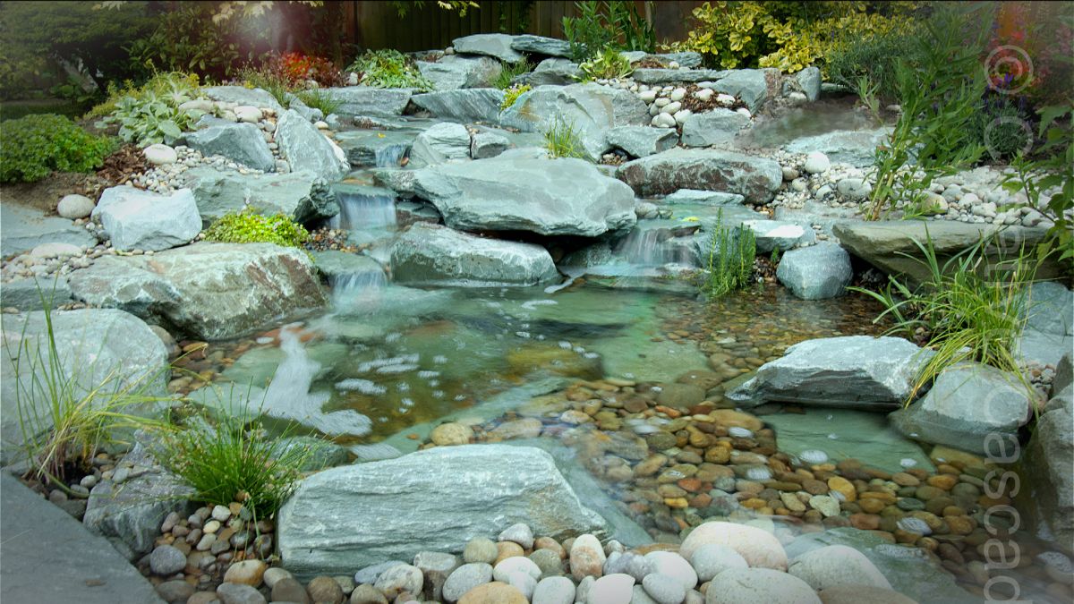 Small pond with 'Lake District' inspired waterfalls, Brentwood, surrounding planting by client  - Landscaping and Water Features -  Creative Cascades