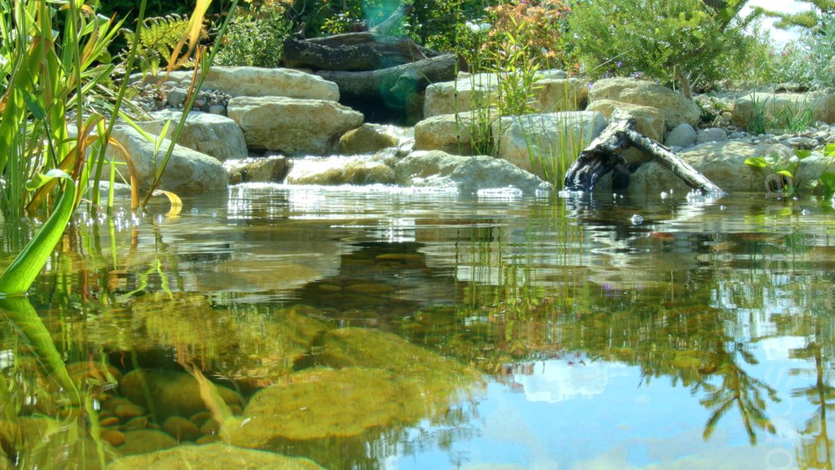 Small waterfall entering fishpond. A fish cave offers protection from predators and winter weather. The pond has good circulation and well oxygenated water.  - Landscaping and Water Features -  Creative Cascades