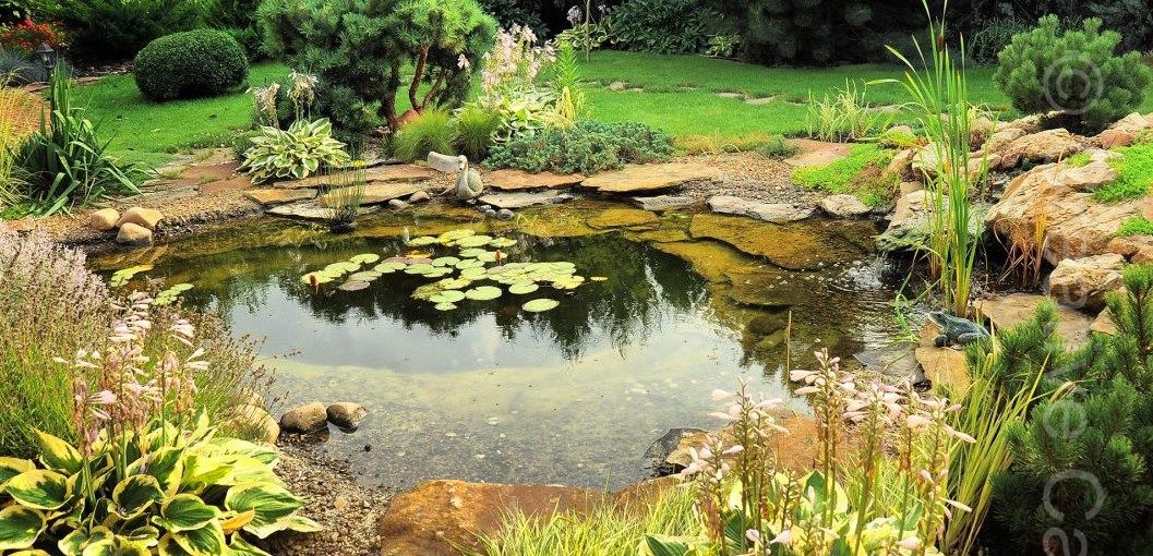 Our client wanted a round shaped pond for her goldfish and also to attract wildlife to her Baldock garden. The pump is safely isolated so that wildlife cannot be sucked into it. Crystal clear water thanks to our ecosystem approach.  - Landscaping and Water Features -  Creative Cascades