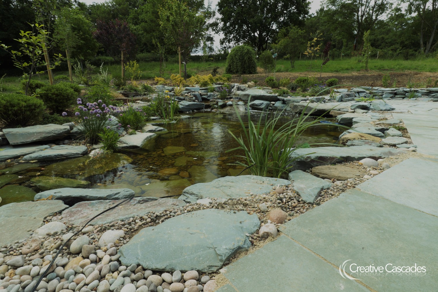 Ecosystem pond and patio by Creative Cascades, 2021  - Landscaping and Water Features -  Creative Cascades