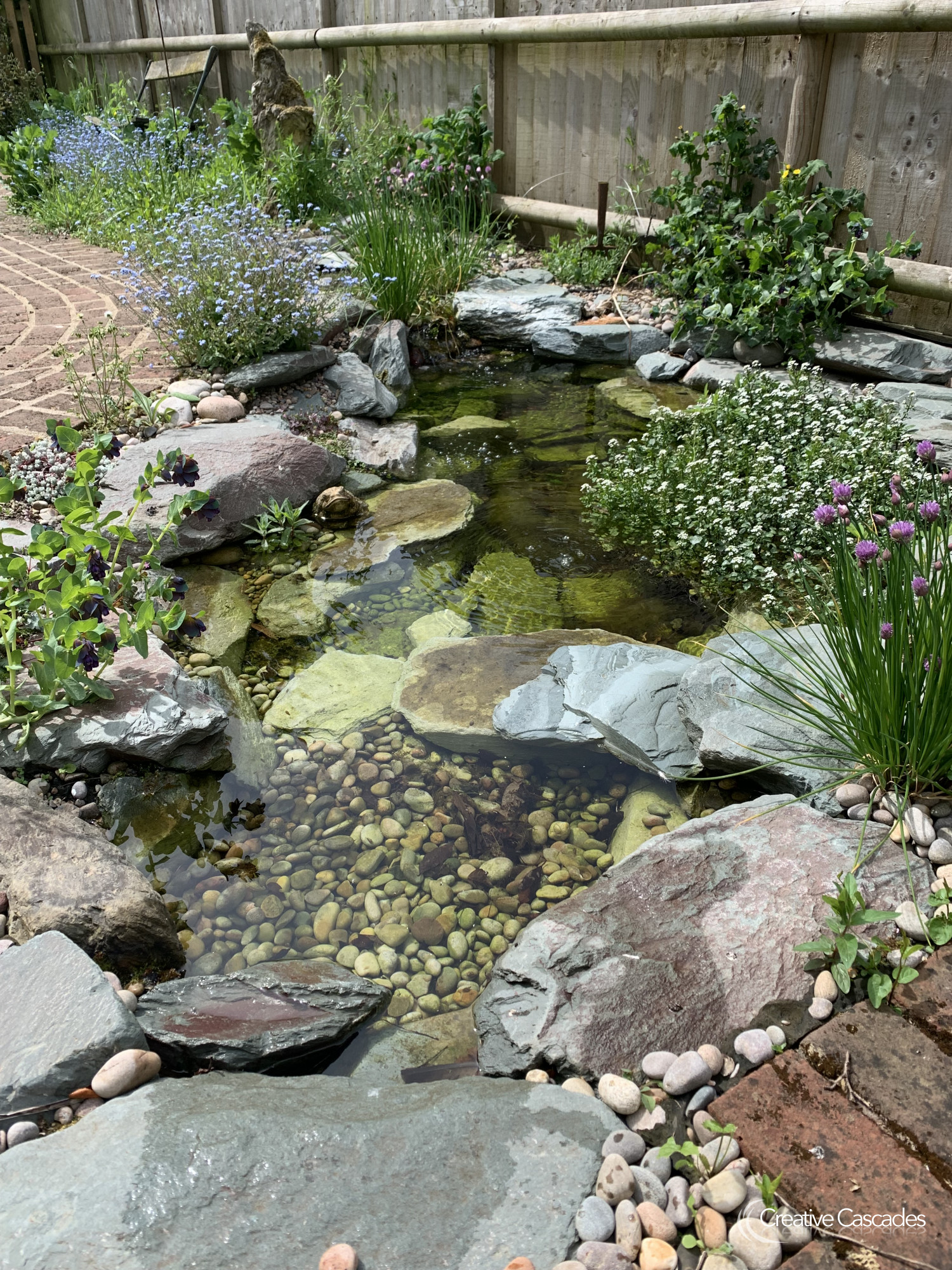 Small pond built 2021, now in spring bloom  - Landscaping and Water Features -  Creative Cascades