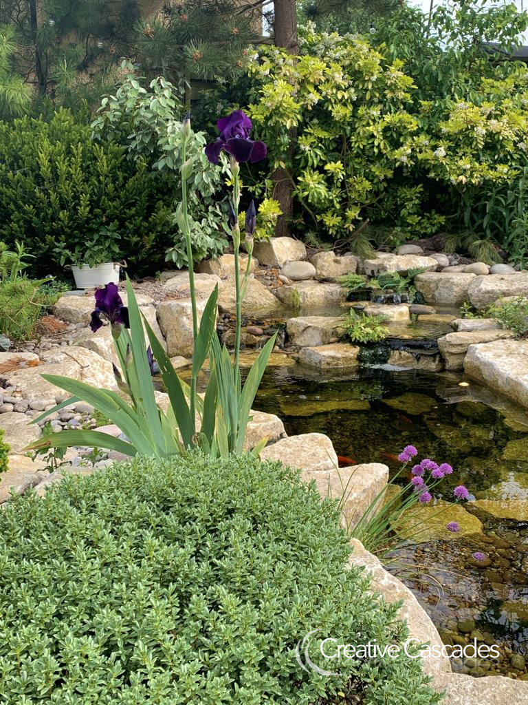 Limestone waterfalls with small fish pond & intake bay  - Landscaping and Water Features -  Creative Cascades