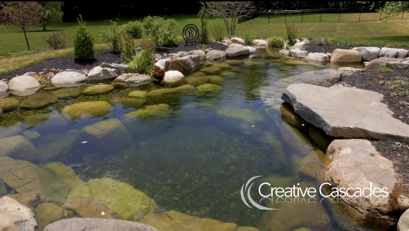 Large pond with a wetland filter using a premium rock option, large rocks are great for a natural aged feel  - Landscaping and Water Features -  Creative Cascades