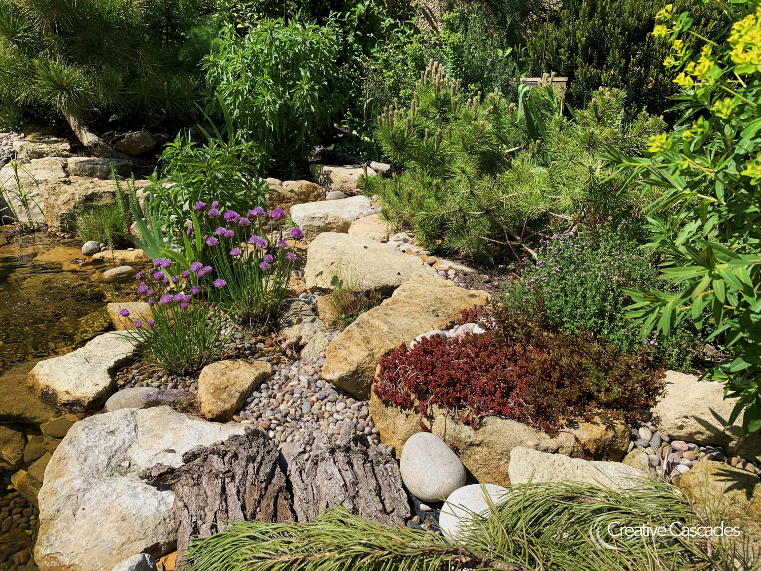 One we built a few yrs ago, see how the plants naturalise the rocky apperance. Rocks disguise the liner which would otherwise be bordered by grass and soil and lead to murky water and also grass cuttings getting into water with each mow.  - Landscaping and Water Features -  Creative Cascades