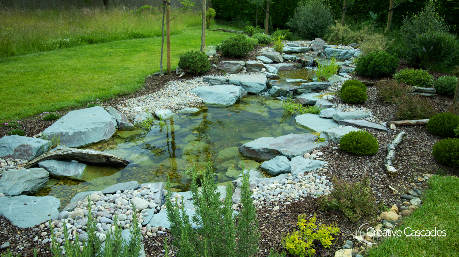 Blue slate used in this wildlife pond, plants beginning to soften the rocky appearance. You may prefer smaller rocks and more soil, the choices are infinite.  - Landscaping and Water Features -  Creative Cascades
