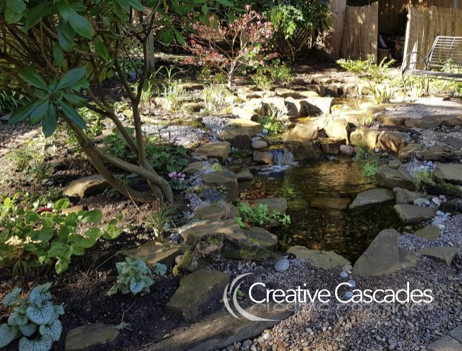 Some early planting by clients to a new water garden. Plants soften the rocky aesthetic, but without rocks an installation will not function properly nor enable wonderful ecosystem natural water cleansing.  - Landscaping and Water Features -  Creative Cascades
