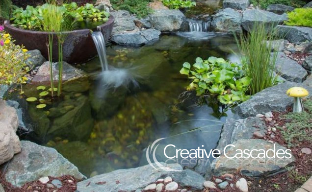 Small koi pond, self-cleaning pond. Why do we use rocks? Because they create healthier water than bare liner or clay lined ponds.  - Landscaping and Water Features -  Creative Cascades