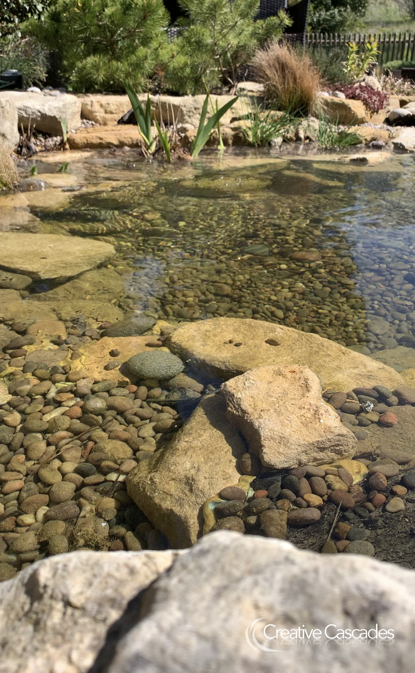 Our ponds mimic clear water systems found in nature, no matter how large or small.  - Landscaping and Water Features -  Creative Cascades